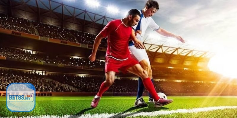 Danh Mục Cá Cược Thể Thao Phổ Biến Tại BET8S